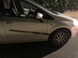 Campo: ancora un sinistro stradale causato da un cinghiale