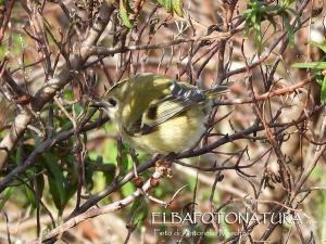 La Foto del Giorno (8 dic.)