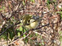 La Foto del Giorno (8 dic.)