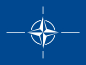 La NATO e l'Italia