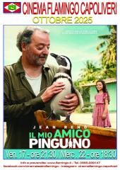 La programmazione del Cinema Flamingo