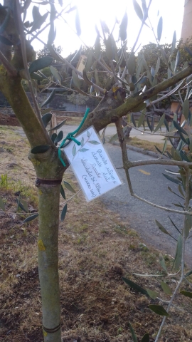 Il Circolo Laudato Si' Elba per la Giornata della Terra (22 aprile)