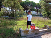 Fotonotizia: Là nella "savana", nei pressi di Carpani