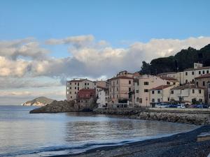 All'Accademia marinese del Tempo Libero corsi gratuiti d'arte ed altro