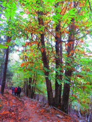 Settimana delle Castagne 2025 - eventi annullati di venerdì 24 ottobre