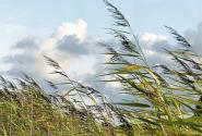 Meteo: previsto un Martedì all'insegna del Grecale e basse temperature