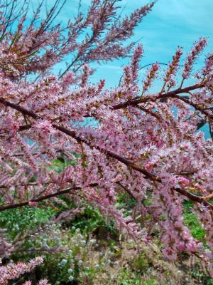 La Foto del Giorno (29 mar.)