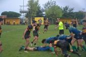 La mischia del Tirreno RC sconfigge l'Elba Rugby