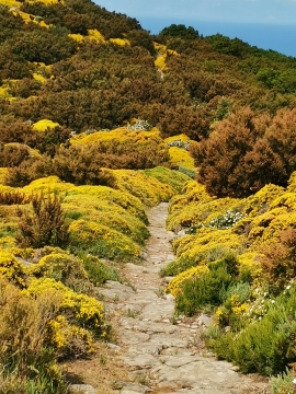 La Foto del Giorno (2 giu.)