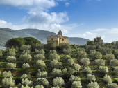 Lacona, una chiesa simbolica tra due corsi d’acqua