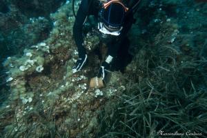 Progetto “Amico Polpo”: le anfore dei bambini per ripopolare il mare di Portoferraio