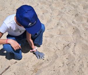 Campo, la Guardia Costiera in prima linea nella tutela dell’ambiente marino e nella sensibilizzazione dei più giovani
