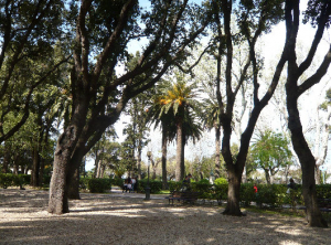 Chiusi i giardini delle Ghiaie: "si elimineranno e sostituiranno alberi come piano del verde"