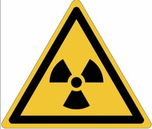 La nuova Yalta, i reattori nucleari "tascabili" e la Famiglia Addams