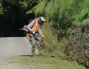 Un mancato avvertimento di taglio dell&#039;erba