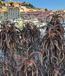 Quel gioiello sporcato, offeso, sprecato che chiamano Portoferraio