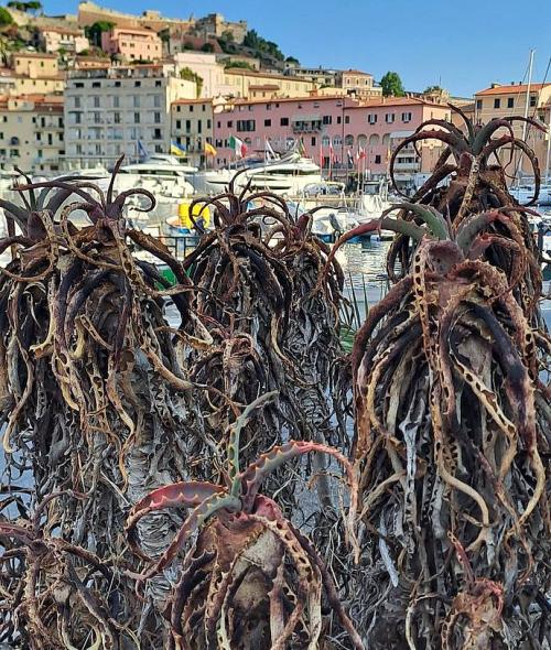 Quel gioiello sporcato, offeso, sprecato che chiamano Portoferraio