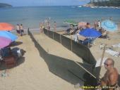 Fotonotizia: A Procchio preparata la "pista di lancio" per le nuove tartarughine