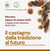 Settimana delle Castagne 2025 - Seconda tavola rotonda “Il castagno dalla tradizione al futuro”