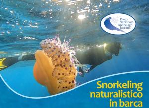 Programma estivo di avvistamenti ed esplorazioni nel Santuario 'Pelagos' con il Parco