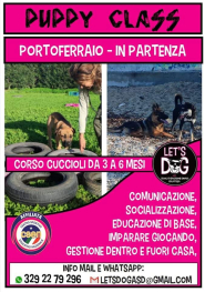Let's Dog asd organizza un corso di gruppo per cuccioli
