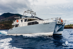 Sea Shepherd Italia e il Parco operano insieme per proteggere l’ecosistema marino