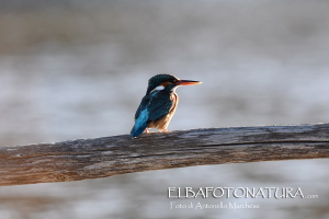 La Foto del Giorno (28 feb.)