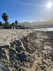 Accumuli protettivi di sabbia sulle spiagge ed erosione degli arenili