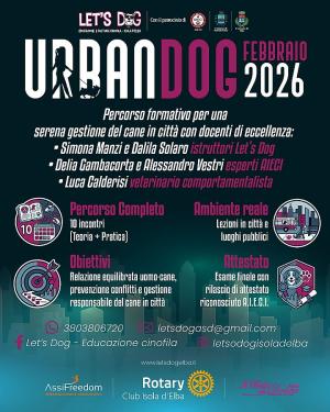 Inizia Urban Dog: il percorso pratico che trasforma la convivenza urbana in pura serenità