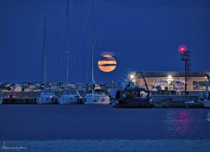 La Foto del Giorno (15 mag.)