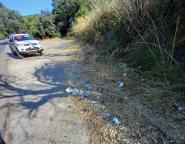 L’indecenza dei rifiuti triturati e non raccolti lungo le strade