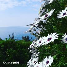 La Foto del Giorno (13 mar.)