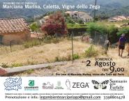 Il 2 Agosto Trekking delle Farfalle Marciana Marina, Caletta, Vigne dello Zega