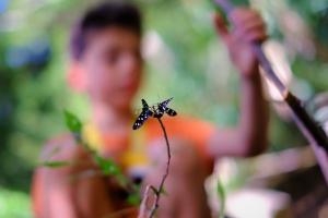 La Foto del Giorno (8 lug.)