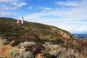 Non solo agonismo nel weekend di Giglio Island Running 2026