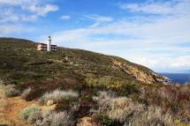 Non solo agonismo nel weekend di Giglio Island Running 2026
