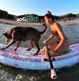Il Dog SUP ha conquistato l'Elba: a settembre arriva la prima Gara Sociale!