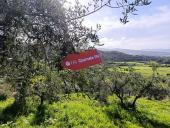 Un successo la Giornata FAI di Primavera a Santo Stefano alle Trane