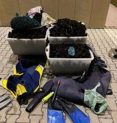 Operazione ‘ATLANTIDE’: anche all'Elba controlli alla filiera ittica della Guardia Costiera