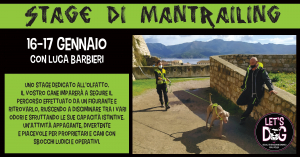 Nuovo stage di Mantrailing con Let&#039;s Dog