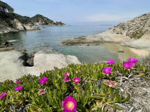 Appello a Sua Emittenza von Cotoncello