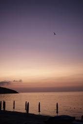 La Foto del Giorno (16 lug.)