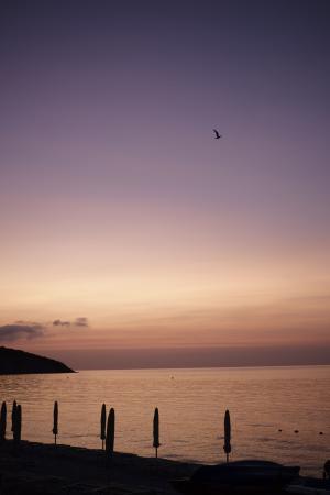 La Foto del Giorno (16 lug.)