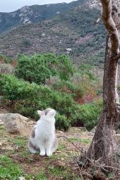 La Foto del Giorno (9 gen.)