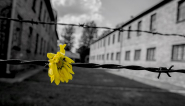 Il 19 febbraio a Portoferraio la "Passeggiata della Memoria"