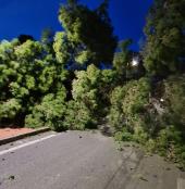 Interventi degli operai provinciali per la rimozione di alberi caduti per il forte vento