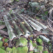 L' intervento di pulizia previsto sulla GTE, il punto degli ambientalisti