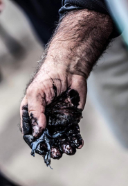 “Mani" - La Foto della Settimana è di Daniele Anichini