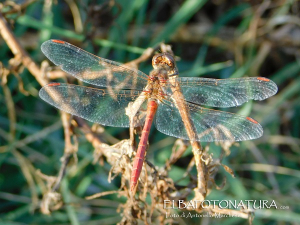 La Foto del Giorno (14 ott.)