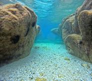 La Foto del Giorno (13 apr.)